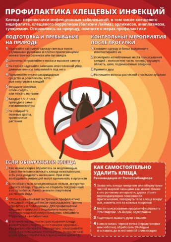 Меры профилактики клещевых инфекций