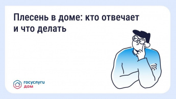 Что делать, если в квартире появилась плесень